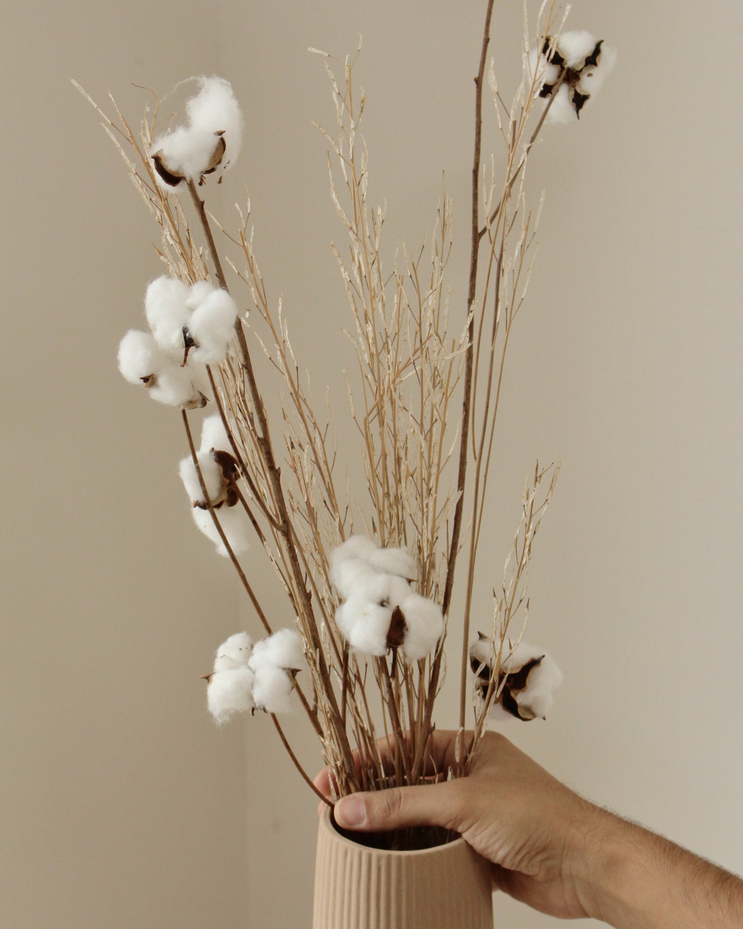 Winter Solace Bunch