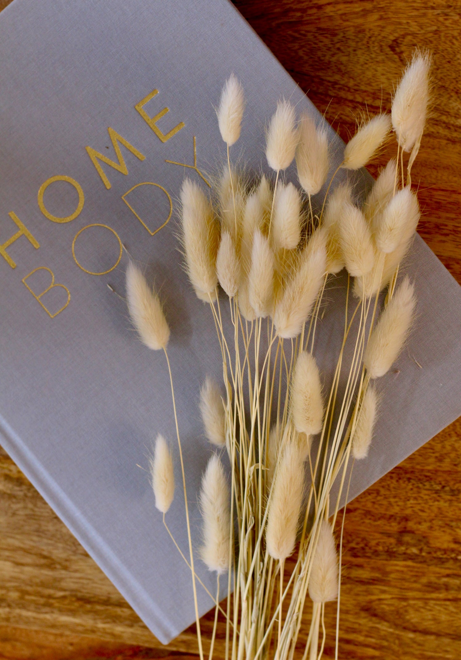 Bunny Tails spread on a book creating an aesthetic look